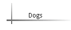 Dogs