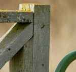 DSC_2996SharpNormalFullSizeCrop